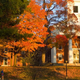 Illustration for article titled Title IX Network Takes Colleges to Task for Mishandling Rape Reports
